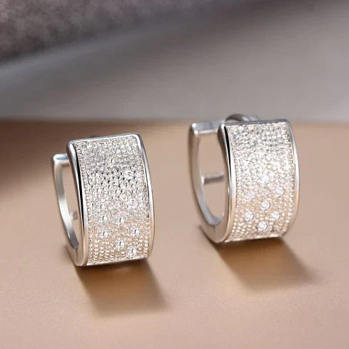 Elegant Shimmering Silver Earring