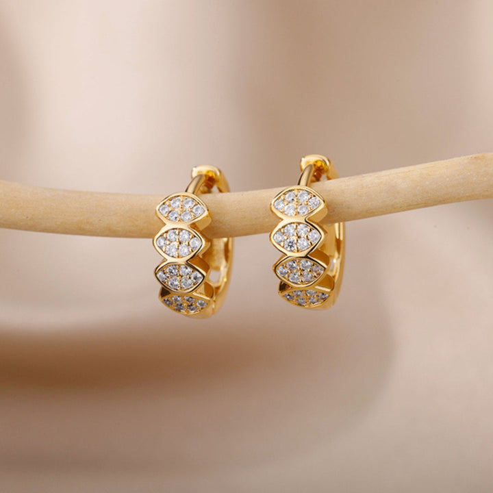 Classy Zirconia Earrings