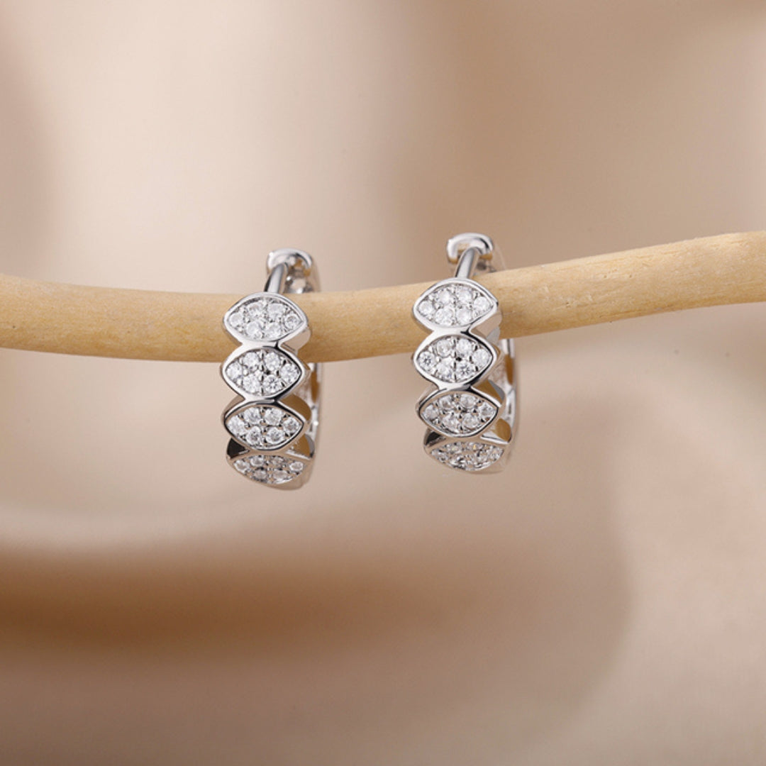Classy Zirconia Earrings