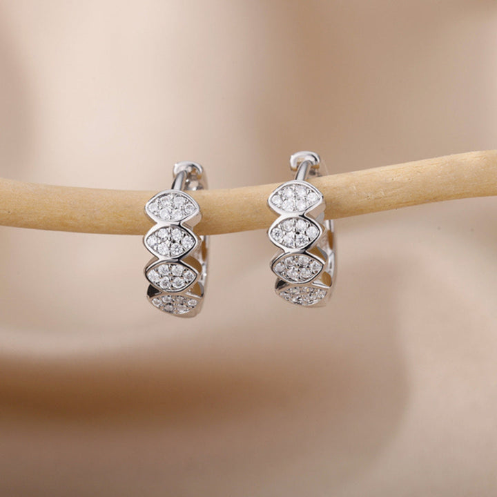 Classy Zirconia Earrings